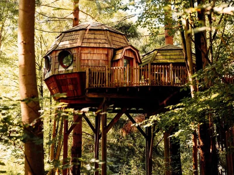 Cabane perchée - Les Grands Chênes
